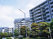 �����}���V���� ���� �Z�V�]