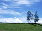 ����y�n���