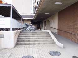 ���ׂ̃r�A��