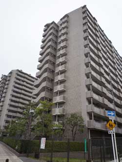 ���ׂ̃}���V�F