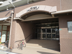 ���ׂ̃N�I��