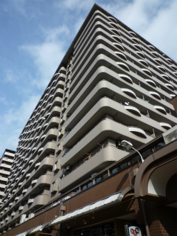 ���ׂ̃N�I��