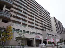 ���ׂ̃}���V�F