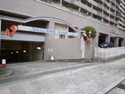 ���ׂ̃}���V�F