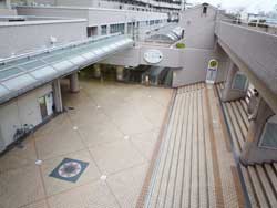 ���ׂ̃}���V�F