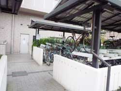 ���ׂ̃|���e