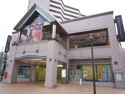 ���ׂ̃|���e