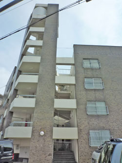 ���{���A�����ʂ̕����}���V�����w�����R�[�|�x