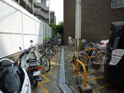 ���{���A�����ʂ̕����}���V�����w�����R�[�|�x