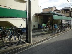 �A���j�e�B���{��