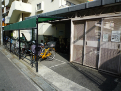 �A���j�e�B���{��