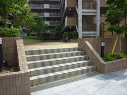 ���{���A�����ʂ̕����}���V�����wAPA�K�[�f���R�[�g�k���x