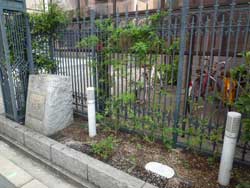 ���{���A�k���̕����}���V�����w�x�����[���k���x