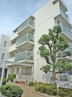 ���{���A�����ʂ̕����}���V�����w�R�[�v�쑺���{�쑊���x