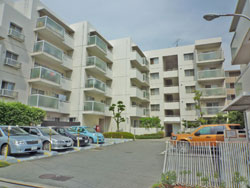 ���{���A�����ʂ̕����}���V�����w�R�[�v�쑺���{�쑊���x