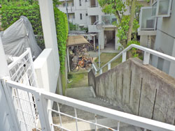 ���{���A�����ʂ̕����}���V�����w�R�[�v�쑺���{�쑊���x