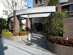 �R�X�����{��V�e�B�t�H����