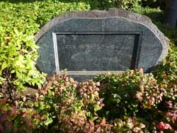 �R�X�����{��V�e�B�t�H����