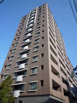 �R�X�����{��V�e�B�t�H����