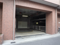 �A���j�e�B���{��