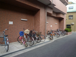 �A���j�e�B���{��