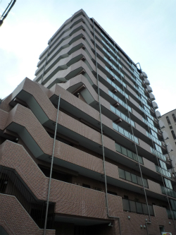 �A���j�e�B���{��