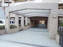 �f�B�I�����{��