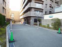 �f�B�I�����{��