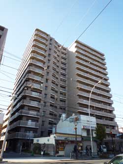 �f�B�I�����{��