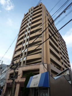 �G�X�e���R�[�g���{��R���t�H���g