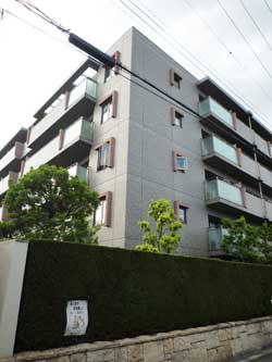 ���{���A�k���̕����}���V�����w�t�@�~�[���O�����k���x