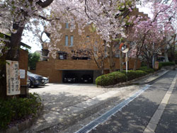 ���{���A�k���̕����}���V�����w�O�����G�[���k���x