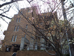 ���{���A�k���̕����}���V�����w�O�����G�[���k���x