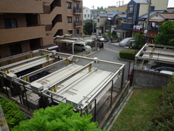 ���{���A�k���̕����}���V�����w�O�����G�[���k���x