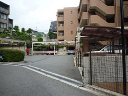 ���{���A�k���̕����}���V�����w�O�����G�[���k���x