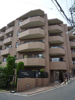 ���{���A�k���̕����}���V�����w�O�����G�[���k���x