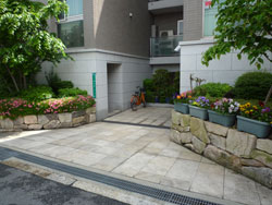 ���{���A���{���̕����}���V�����w�O�����h���]�������u�x