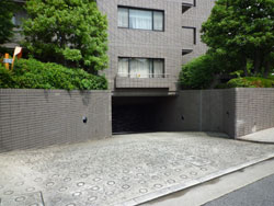 ���{���A�����ʂ̕����}���V�����w�O���[�V�B�k���x