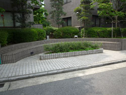 ���{���A�����ʂ̕����}���V�����w�O���[�V�B�k���x