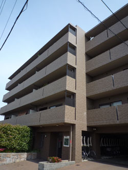 ���{���A���{���̕����}���V�����w�M�������[�R�[�g���{��x