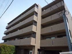 ���{���A���{���̕����}���V�����w�M�������[�R�[�g���{��x