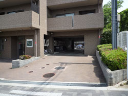 ���{���A���{���̕����}���V�����w�M�������[�R�[�g���{��x