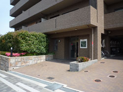 ���{���A���{���̕����}���V�����w�M�������[�R�[�g���{��x