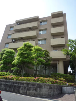 ���{���A���{���̕����}���V�����w�W���A�R���e�B���{�쐰���u�x