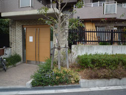 ���{���A�k���̕����}���V�����w�W���I�[���k���x