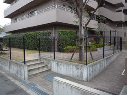 ���{���A�k���̕����}���V�����w�W���I�[���k���x