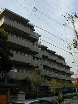 ���{���A�k���̕����}���V�����w�W���I�[���k���x