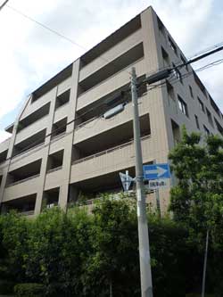 ���{���A�k���̕����}���V�����w�k���\���X�e�[�W���x