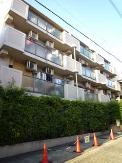 ���{���A�ێR�ʂ̕����}���V�����w�R�X�����{��ێR�ʁx