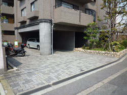 ���{���A�k���̕����}���V�����w�N���E���Y�k���x